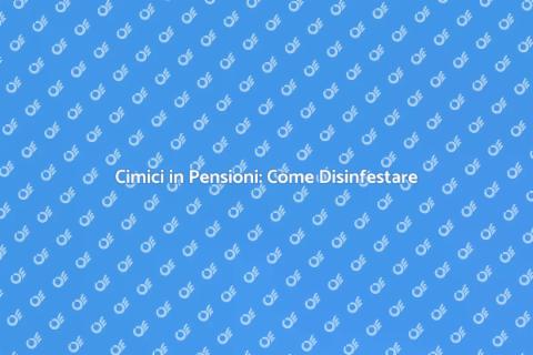 Disinfestazione Cimici in Pensioni