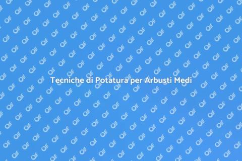 Potare Arbusti di Dimensioni Medie