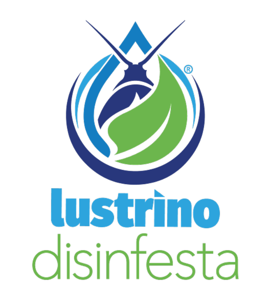 I’ Lustrino servizi srl - Foto 3