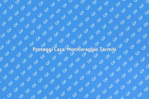 Monitoraggio delle Termiti in Casa