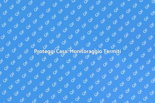 Come Monitorare le Termiti in Casa