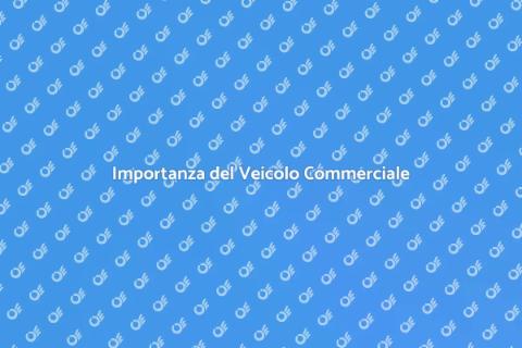 Veicolo Commerciale: Essenziale per Servizi