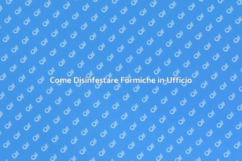 Disinfestazione Formiche in Agenzia