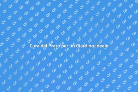 Prato Ben Tenuto per un Giardino Perfetto