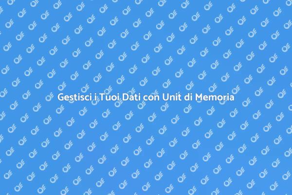 L'Arte di Gestire le Unit di Memoria
