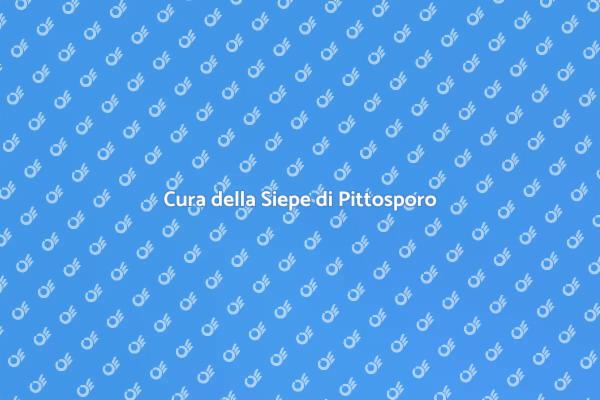 Come Curare la Siepe di Pittosporo
