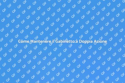 Manutenzione Scarico Gabinetto Doppia Azione