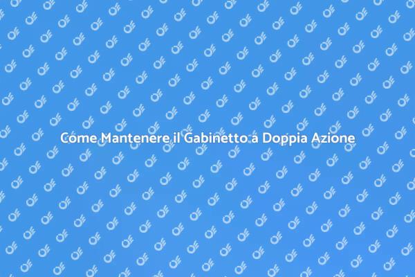 Manutenzione Efficace del Gabinetto