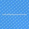 Mantieni il Tuo Parquet Splendente