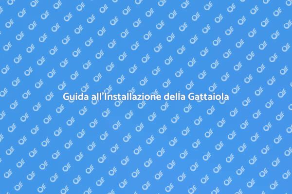 Gattaiola: Libertà per il Tuo Gatto