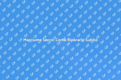 Riparare il Marciume Secco in Casa