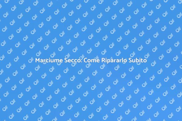 Marciume Secco: Riparazioni Necessarie