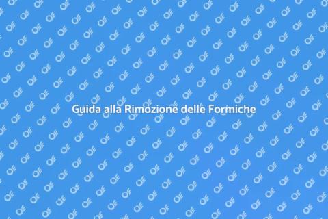 Eliminare Formiche Strutture Ricettive