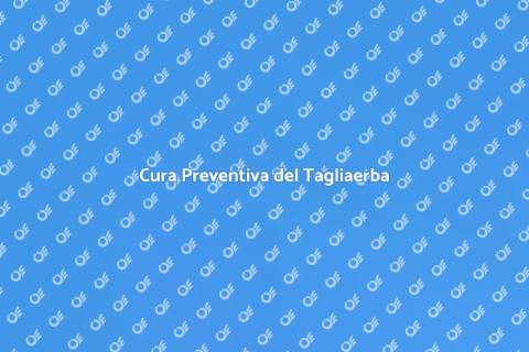 Manutenzione del Tagliaerba Essenziale