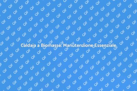Manutenzione Straordinaria Caldaia