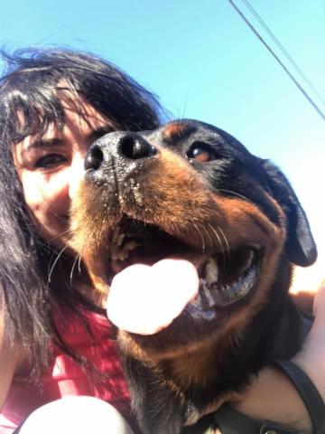 Mary Pet Sitter - Foto 7