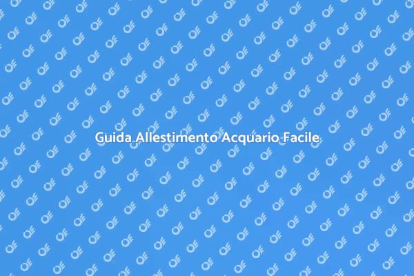 Installare il Tuo Acquario in Semplice Passi