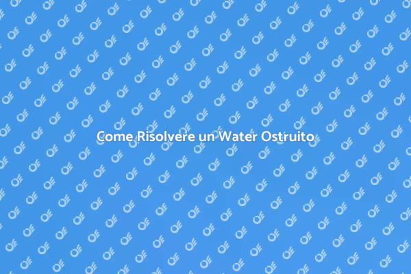 WC Ostruito? Ecco le Soluzioni!