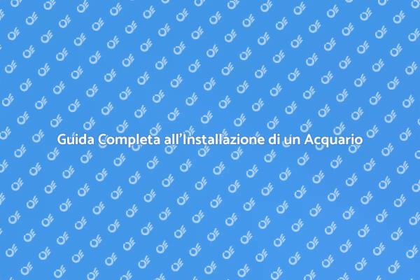 Realizza il Tuo Acquario da Sogno
