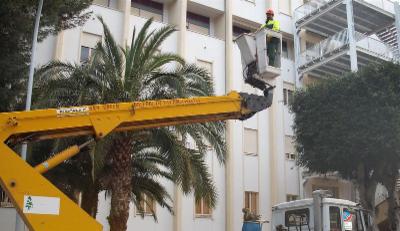 Sky Green Srl  - Foto 3