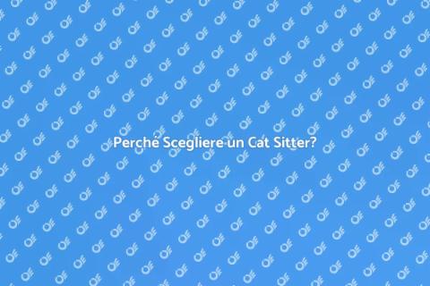 Cat Sitter per Gatti Territoriali