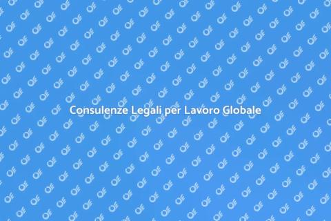 Avvocato per Consulenze Diritto Internazionale