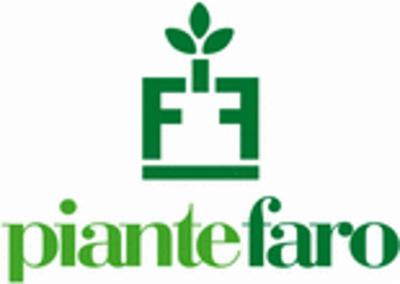 Piante Faro  - Foto 1