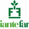 Piante Faro 