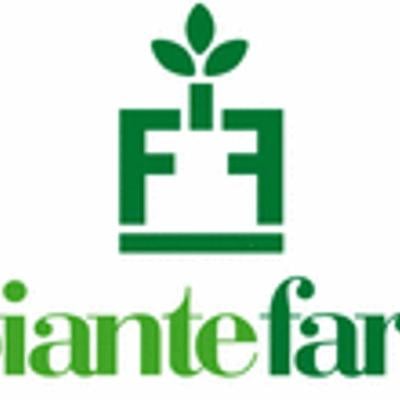 Piante Faro