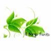 Il Borgo Fiorito 