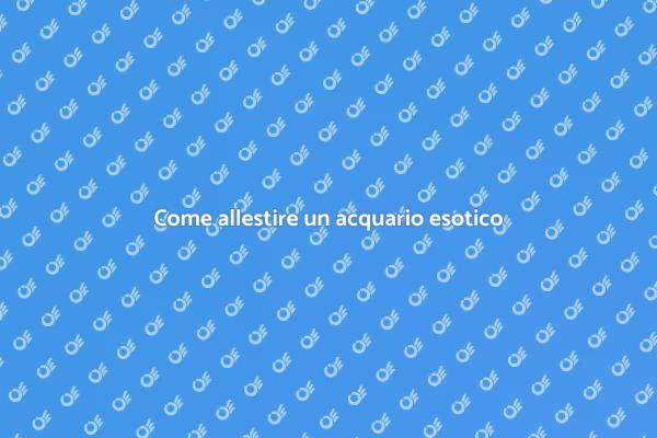 Realizza il tuo acquario esotico