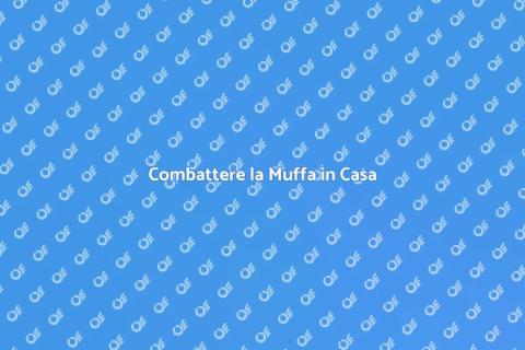 Muffa: Protezione Efficace in Casa
