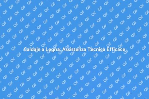 Assistenza Caldaie a Legna Specializzata