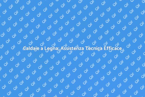 Scopri l'Assistenza per Caldaie a Legna