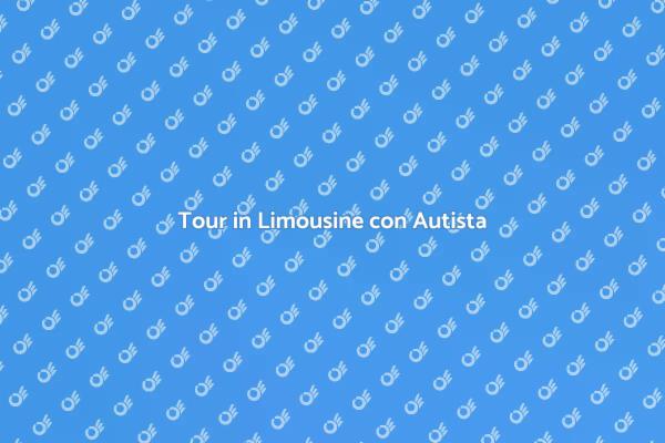 Scopri la Città in Limousine