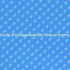 Installazione del Tubo di Scarico Facile