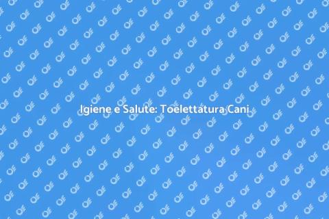 Toelettatura Professionale per Cani