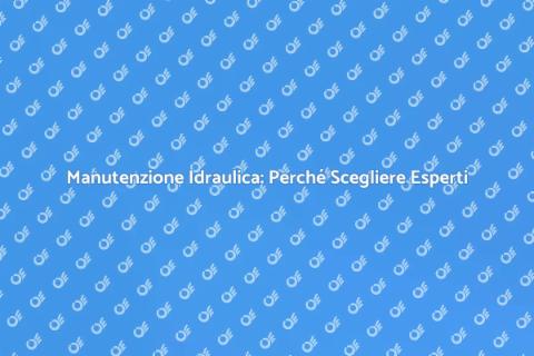 Servizio Idraulico: Affidati ai Professionisti