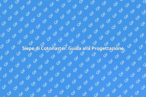 Progettare Siepe di Cotonaster
