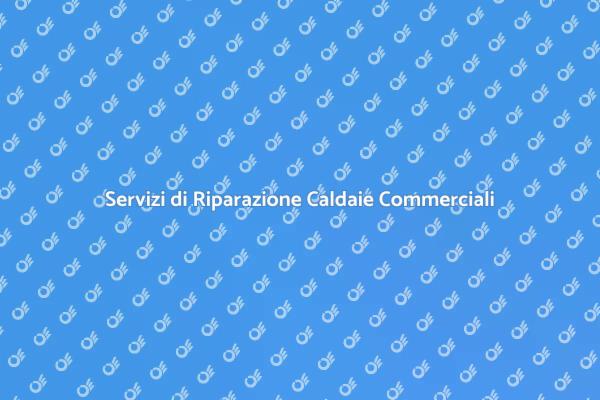 Riparazione Professionale Caldaie Commerciali