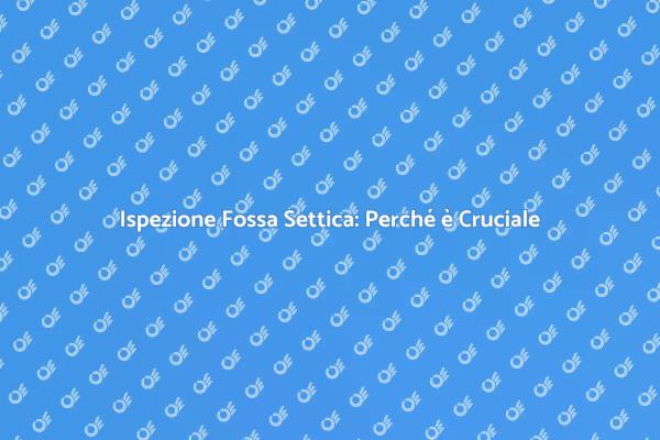 Fossa Settica: Controllo Necessario