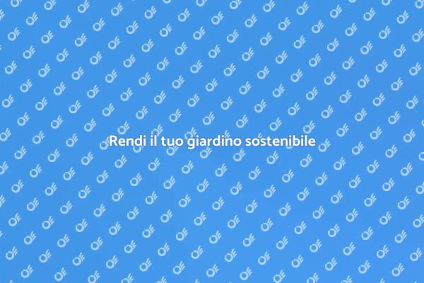 Guida alla semina del prato ecologico