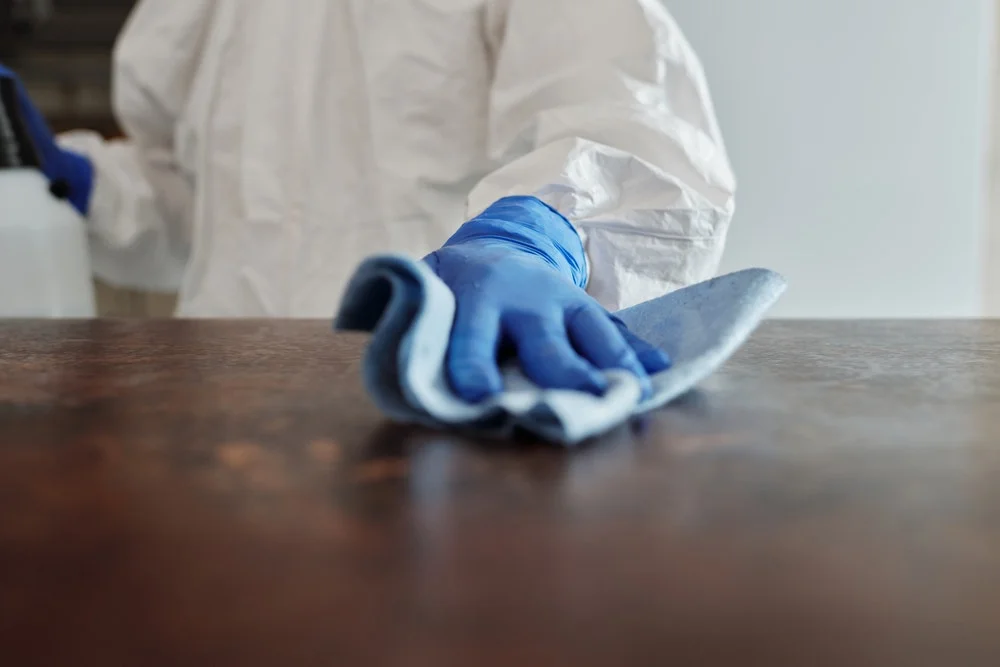 azienda di disinfestazione derattizzazione