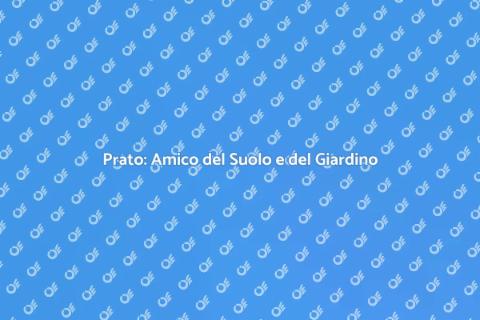 Il Prato che Arricchisce il Suolo