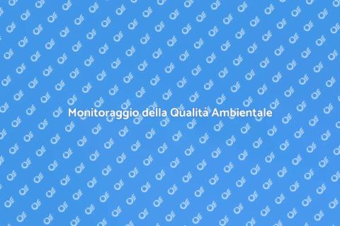 Verifica della Qualità Ambientale