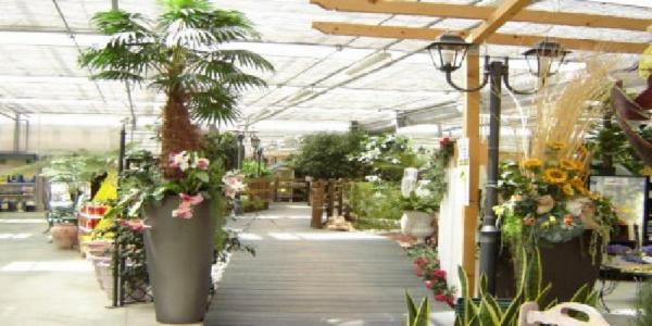 Ikebana srl - Green Garden  - Foto 1