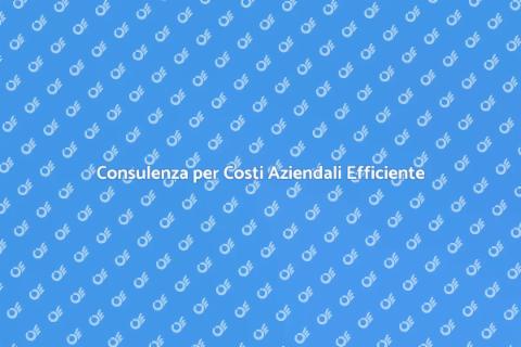 Ottimizzazione Costi Aziendali