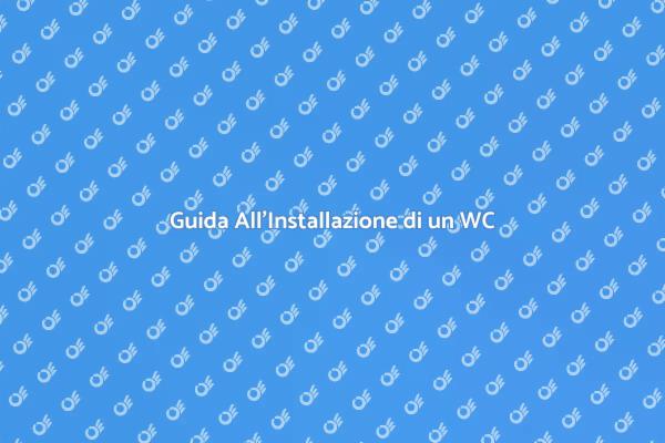 Come Sostituire il Tuo WC