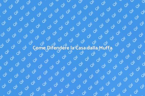 Muffa: Protezione Efficace per Casa