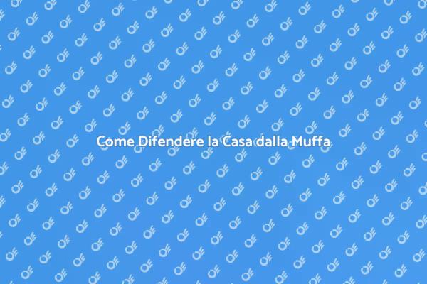 Muffa: Come Proteggere la Tua Casa